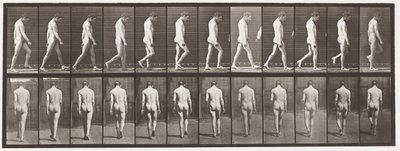 Epilessia; camminare da Eadweard Muybridge
