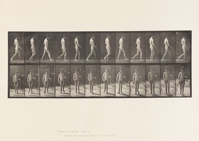 Epilessia; camminare da Eadweard Muybridge