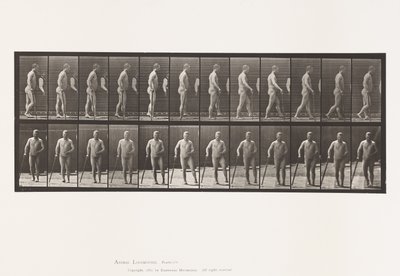 Tavola 552. Emiplegia; camminare con un bastone, 1885 da Eadweard Muybridge