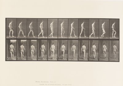 Atassia locomotoria; camminare da Eadweard Muybridge