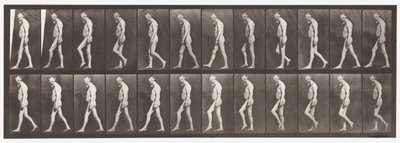 Tavola 555. Atrofia muscolare delle gambe; adulto, A,B, camminare, 1885 da Eadweard Muybridge