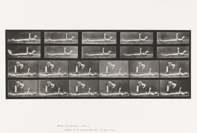 Tavola 556. Corea Locale; A, B, Mentre si è sdraiati da Eadweard Muybridge