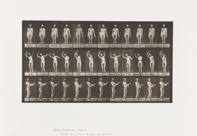 Corea locale; A, B, C, mentre si è in piedi da Eadweard Muybridge