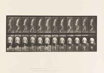 Tavola 558. Paraplegia; parziale; camminare, 1885 da Eadweard Muybridge