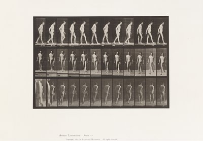 Tavola 559. Sclerosi Disseminata; Camminando con bastone da Eadweard Muybridge