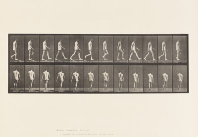 Tavola 560. Atassia locomotoria; camminare, 1885 da Eadweard Muybridge