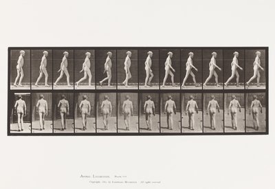 Tavola 562. Curvatura Laterale della Colonna Vertebrale; Camminata da Eadweard Muybridge