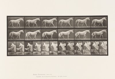 Passeggiata; Libero; Cavallo grigio chiaro Eagle da Eadweard Muybridge