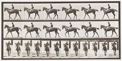 Tavola 580. Camminare; sella; purosangue baio Annie G., 1885 da Eadweard Muybridge