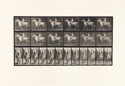 Camminare; Sella; Cavaliere Femminile; Nudo; Cavallo Grigio Tan, 1885 da Eadweard Muybridge
