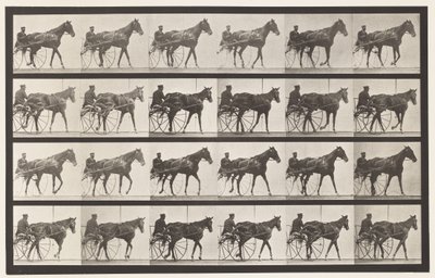 Camminare; Sulky; Giumenta Sorrel Nellie Rose, 1885 da Eadweard Muybridge