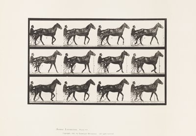 Camminare; Sulky; Cavallo Baio Reuben, 1885 da Eadweard Muybridge