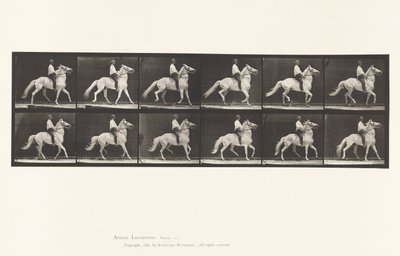 Andare al passo da Eadweard Muybridge