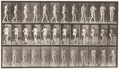 Camminare, girarsi spazzando il pavimento (tavola 58) da Eadweard Muybridge