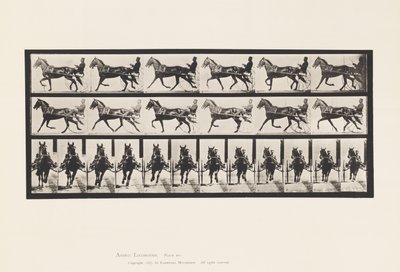 Tavola 595. Dondolando (Passo): Sulky; Cavallo Marrone Pronto da Eadweard Muybridge