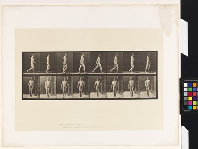 Tavola 5. Camminare da Eadweard Muybridge