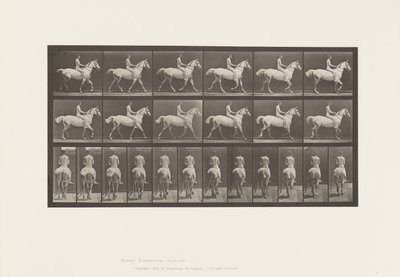 Tavola 602. Trotting; Bareback; Rider, 43, Nudo; Cavallo grigio chiaro Smith, 1885 da Eadweard Muybridge