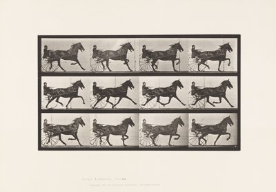 Tavola 606. Trotto; Sulky; Cavallo Baio Reuben da Eadweard Muybridge