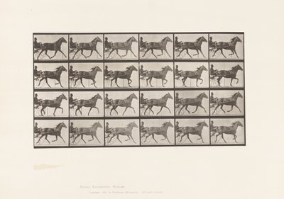 Tavola 607. Trotto; Sulky; Giumenta Baia, Lizzie M. da Eadweard Muybridge