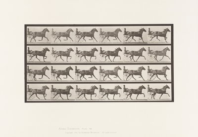 Tavola 609. Trotto; Sulky; Cavalla Baia Lizzie M. da Eadweard Muybridge