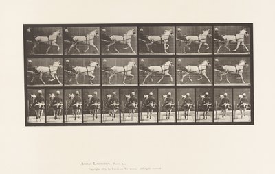 Tavola 611. Trotto; Sulky; Cavalla Grigia Katydid da Eadweard Muybridge