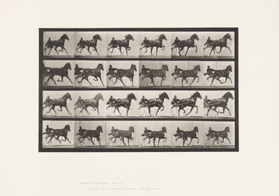 Tavola 613. Trotto; Sulky; Baia Mare Nellie Rose da Eadweard Muybridge