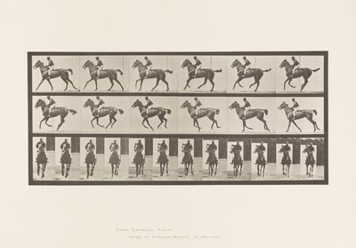 Tavola 621. Trotto; Sella; Cavalla Purosangue Baia Annie 6 da Eadweard Muybridge