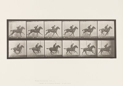 Tavola 624. Galoppo; Sella; Cavallo Baio Daisy da Eadweard Muybridge