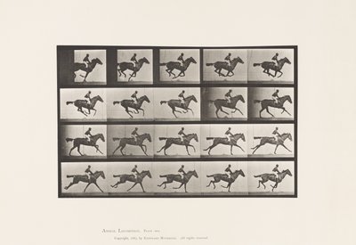Tavola 627. Galoppo; Purosangue Baia Mare Annie G. da Eadweard Muybridge