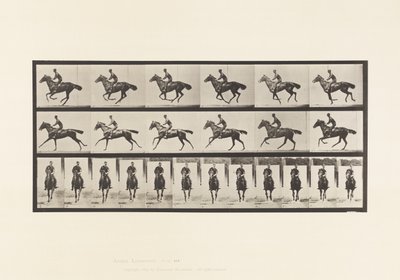 Tavola 632. Galoppo; Sella; Cavallo Purosangue Baio Bouquet da Eadweard Muybridge