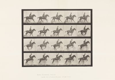 Tavola 636. Salto di un Ostacolo; Sella; Preparazione al Salto da Eadweard Muybridge