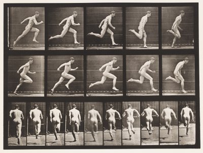 Tavola 63. Correre a tutta velocità da Eadweard Muybridge