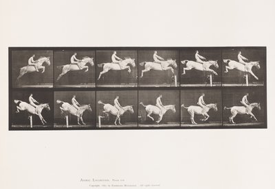 Piastra 643. Saltare un Ostacolo; Senza Sella; Superamento e Atterraggio da Eadweard Muybridge