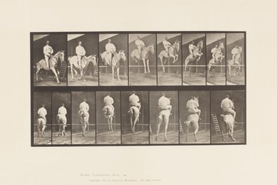Tavola 645. Salto di un Ostacolo; Sella; Superamento e Atterraggio da Eadweard Muybridge