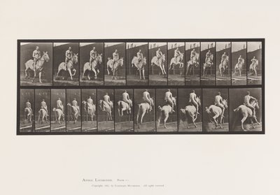 Piatto 646. Saltare un ostacolo; Sella; Cavaliere, 105, Nudo, 1885 da Eadweard Muybridge