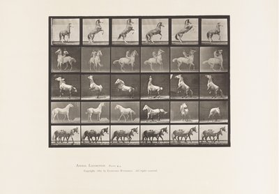 Piastra 652. A, B, C, D, E, Cavalli che si impennano, ecc. da Eadweard Muybridge