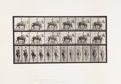 Tavola 653. Camminata; Sella; Zoppo, Zampa Anteriore Destra; Cavallo-Buckskin da Eadweard Muybridge