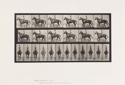 Piastra 654. Camminando; Sella; Zoppo, Zampa Anteriore Destra; Cavallo-Buckskin da Eadweard Muybridge