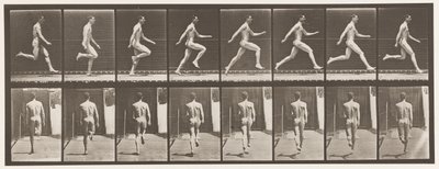 Tavola 65. Correre a tutta velocità da Eadweard Muybridge