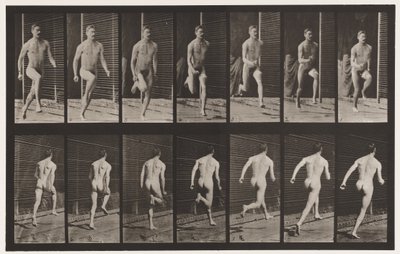 Tavola 66. Corsa da Eadweard Muybridge