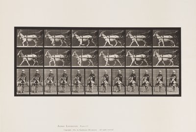 Piastra 678. Capra; Trotto, in Sulky da Eadweard Muybridge