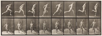 Tavola 67. Correre da Eadweard Muybridge