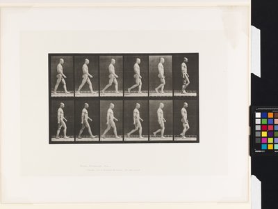 Tavola 6. Camminare da Eadweard Muybridge