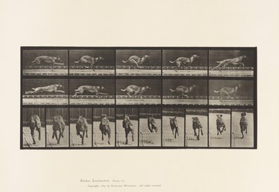 Tavola 708. Cane; Galoppo; Levriero Marrone da Corsa da Eadweard Muybridge