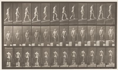 Tavola 74. Salire una pendenza, angolo 1 su 4 da Eadweard Muybridge