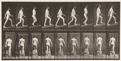 Tavola 75. Salire una pendenza, angolo 1 su 4 da Eadweard Muybridge