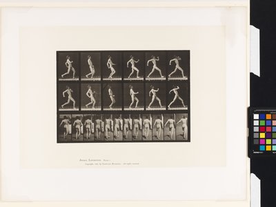 Tavola 7. Camminare da Eadweard Muybridge