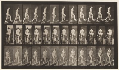 Tavola 81. Salire una pendenza da Eadweard Muybridge