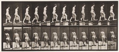 Tavola 83. Salire una pendenza, secchio d