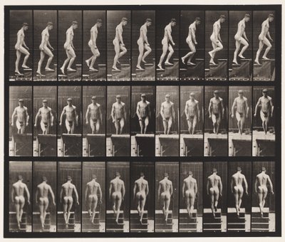 Tavola 88. Salire le scale da Eadweard Muybridge